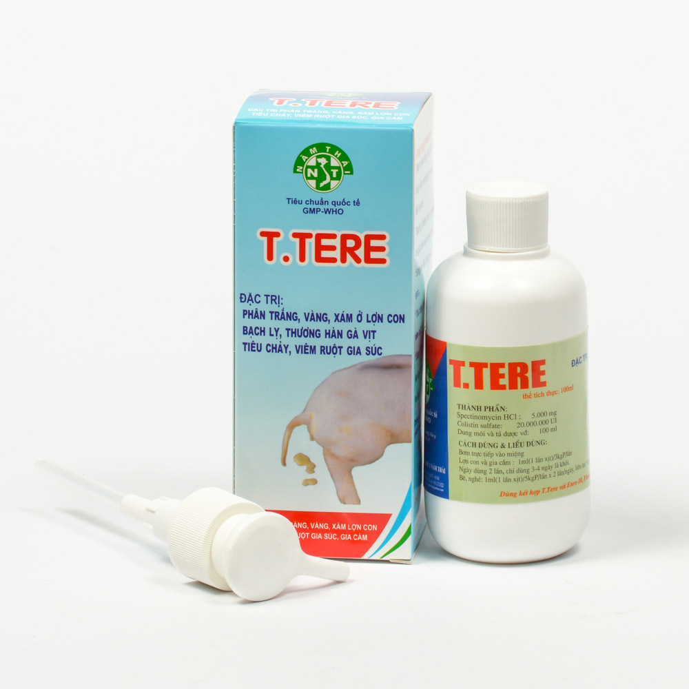 T.TERE T.TERE